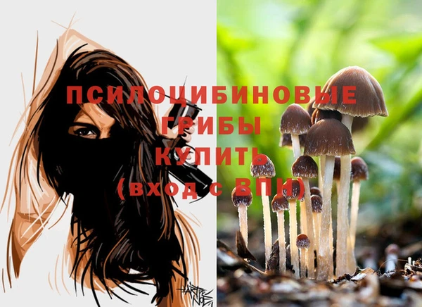 СК Навашино