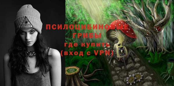 соль ск Абдулино